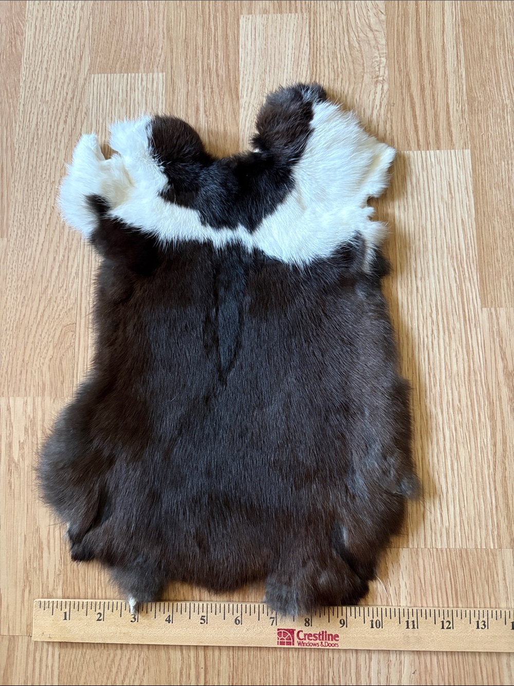 B0212 rabbit pelt